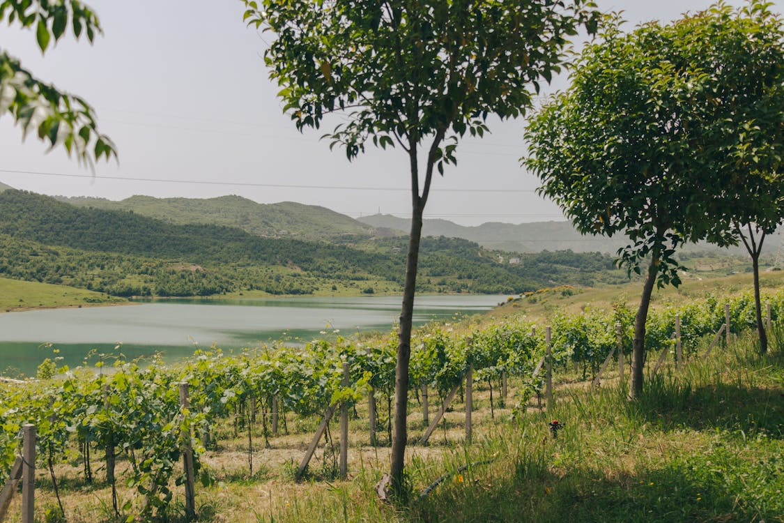 Tips for Selling Recreational Land in Montana